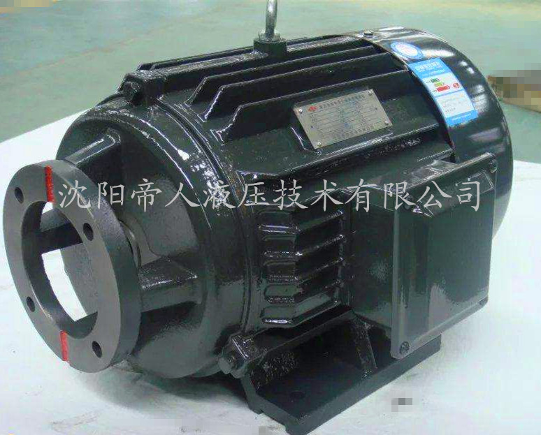 柱塞泵專[Zhuān]用電機